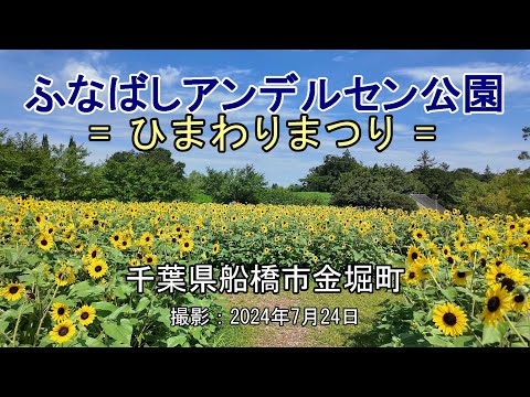ふなばしアンデルセン公園 = ひまわりまつり = [4K] Funabashi Andersen Park = Sunflower Festival =