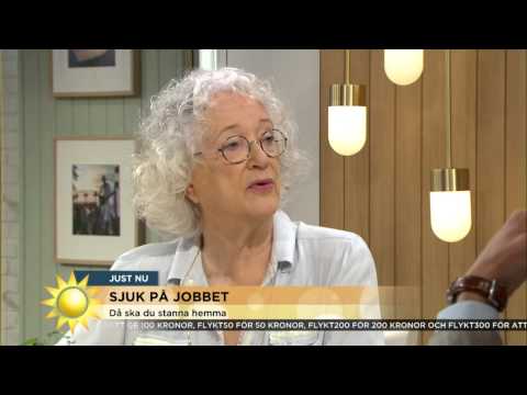 Magdalena Ribbing: "Steffo har frikort" - Nyhetsmorgon (TV4)