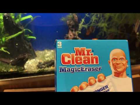 YouTube video about: Will magic eraser kill fish?