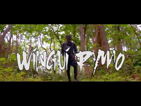 #224 Guinée wingui rymo Arme fatale