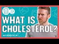 What Is Cholesterol? How Can It Affect Your Health? | Myprotein