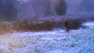 &quot;Can&#39;t Find My Way Home&quot; Ellen Mcllwaine