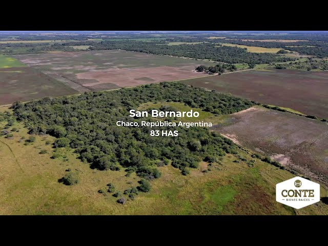 Pcia. De Chaco - San Bernardo 83 Has Agrofy