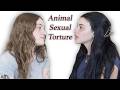 Survivor Of Animal R Pe