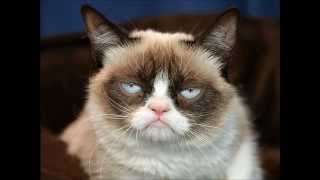 Marc Maron on Ironic Detachment vs. Manic Integrity