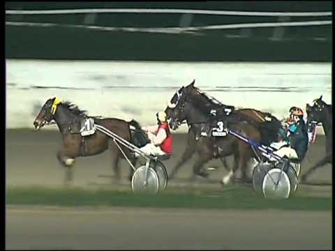 Trotto 14/02/2016 - 7° corsa