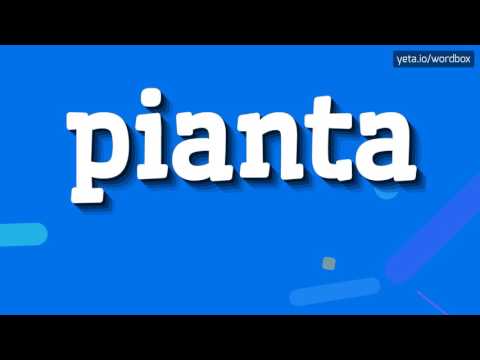 PIANTA - HOW TO PRONOUNCE IT!?