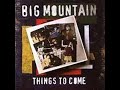 Big Mountain   Visions   1999