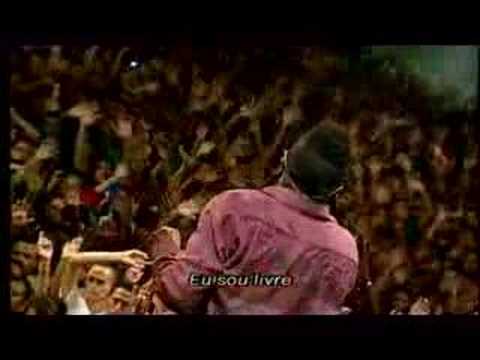 Perdoado video