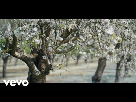 Gabi Novak - Pamtim Samo Sretne Dane