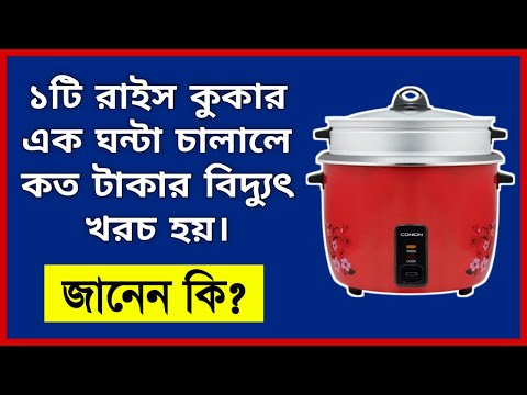 রাইস কুকারে বিদ্যুৎ খরচ কেমন | রাইস কুকারে ভাত পুড়ে যায় কেন