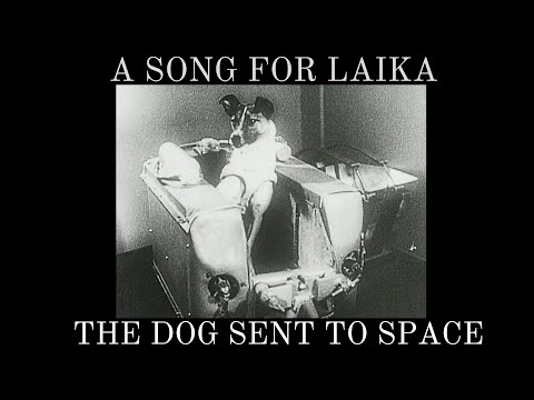 A song for Laika the dog sent to space