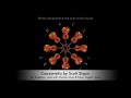 Canzonetta for Three Violas by Scott Slapin