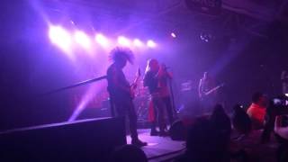 The Casualties- Oi song