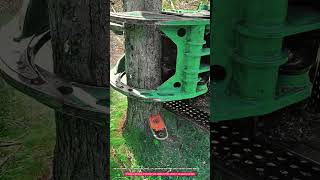 Hydraulic Tree Shear Attachment with 400mm Cutting Capacity and Grapple Holding System