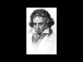 Ludwig van Beethoven: Symphony No. 4 in B-Flat Major, Mvt 4 "Allegro ma non troppo"