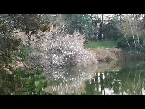 Filmato laghetti di campocavallo