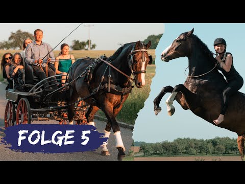 DAS PFERDECAMP - Mein Pferd kann.. (Folge 5)