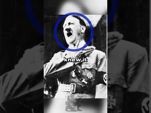 Why HITLER NEARLY BANNED StG 44