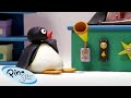 Ding Dong Pingu Is Ringing Pingu Official Channel Cartoons For Kids