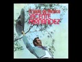 Amor Indio (Vicente Fernández)