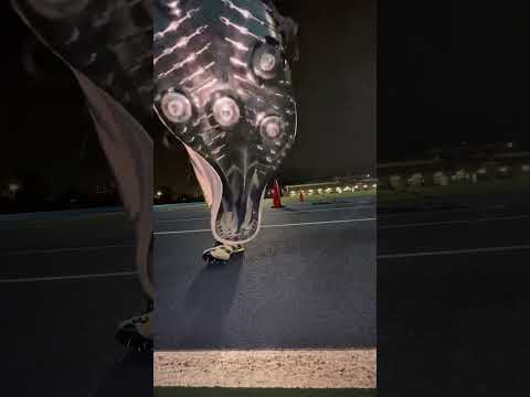 sp3 Y3 衝動買いしました。　#陸上 #陸上短距離 #陸上競技 #陸上をエンタメ化#trackandfield #sprinter #adidas#adizeroprimesp3 #y3