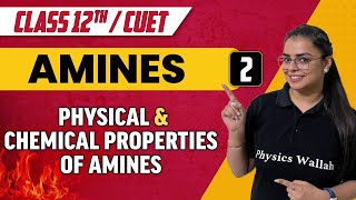 Amines 02 | Physical & Chemical properties of Amines | Class 12th/CUET