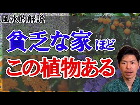 果物の種からキンカンを育てる方法は?  庭園