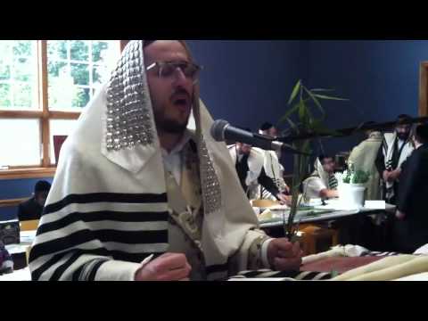 Lipa Schmeltzer Airmont Shul - Shifchi Kamayim