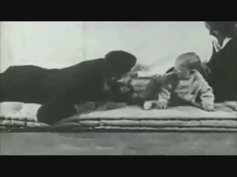 The Little Albert Experiment