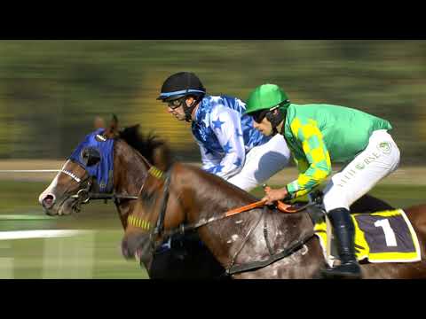 PE, 13. 10. 2018, 2. dostih - Cena společnosti BOHEMIA SEKT, s.r o. - Zlatá spona tříletých