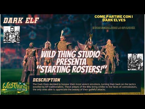 02. STARTING ROSTERS! Guida di Blood Bowl ai "Dark Elves"