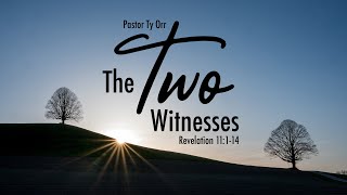 The Two Witnesses