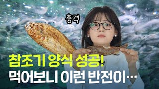 참조기 양식이 궁금하신 분? 들어오세요! 썸네일