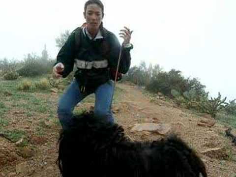 Ballantine Trail, Sunflower, Arizona