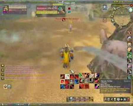 29 Warrior Wsg PvP