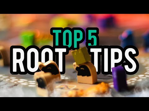 Top 5 Root Strategy Tips