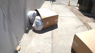 Dumpster Diving- Lucky Day! Store couldn't fit this box in the Dumpster!