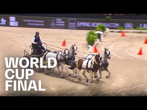Fast, faster, the fastest: The FEI Driving World Cup™Final 2020 in Bordeaux