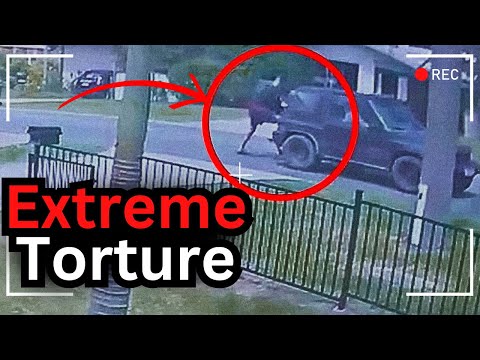 A Case Almost Too Gruesome To Mention - Bradley Lyons