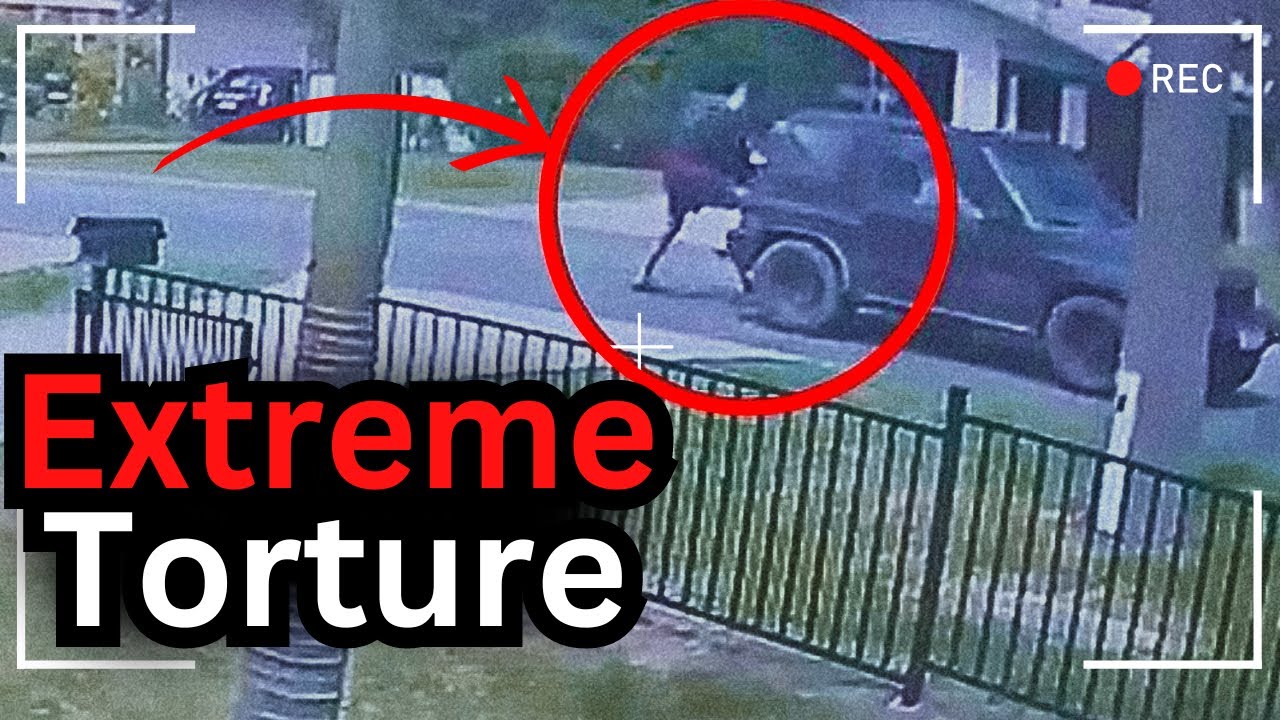 A Case Almost Too Gruesome To Mention - Bradley Lyons