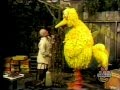 0871 Big Bird Helps Mr Hooper