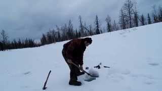 Это не диалоги о рыбалке на реках