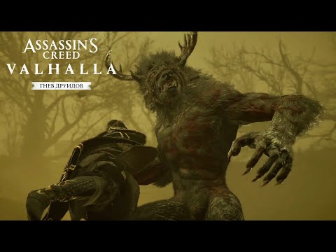 Как решить загадки Друида в Assassins Creed Valhalla
