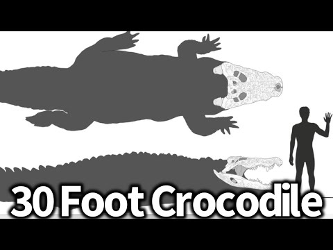 30 Foot Crocodile Killed in India (Skull Proves It?)