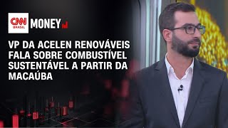 Vídeo: Macaúba é promessa para o mercado global de combustível sustentável de aviação | CNN AGRO NEWS