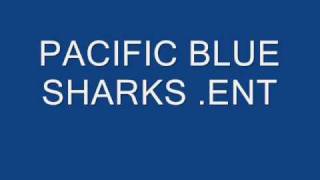 ''WE RIDEIN'' STRAIGHT GANGSTA SHIT!!! PACIFIC BLUE SHARKS .ENT