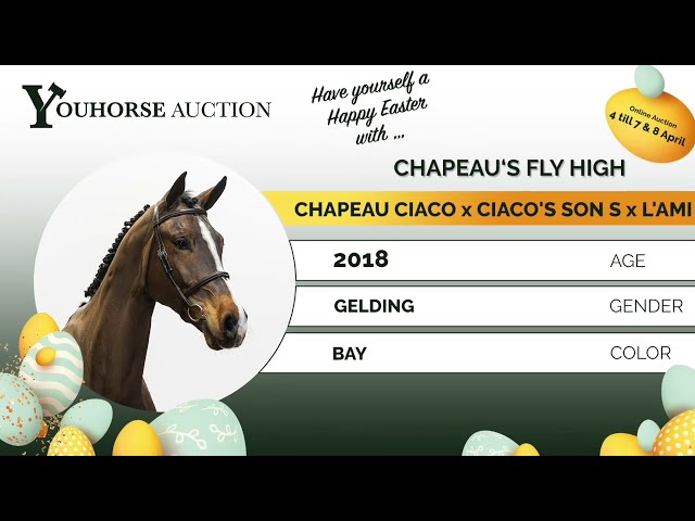 Chapeau‘s Fly High trainingsvideo