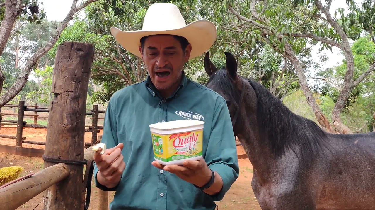 REPELENTE CONTRA MOSCAS E MOSQUITOS PARA VOCÊ USAR NOS CAVALOS E MUARES. BOM E BARATO