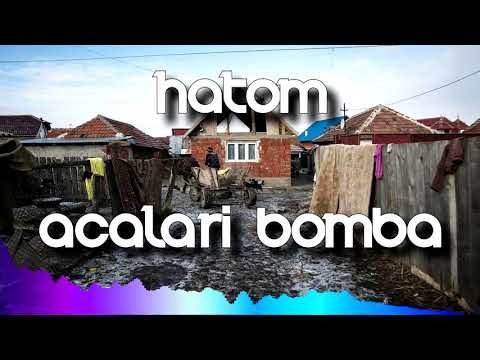 Hatom - Acalari Bomba